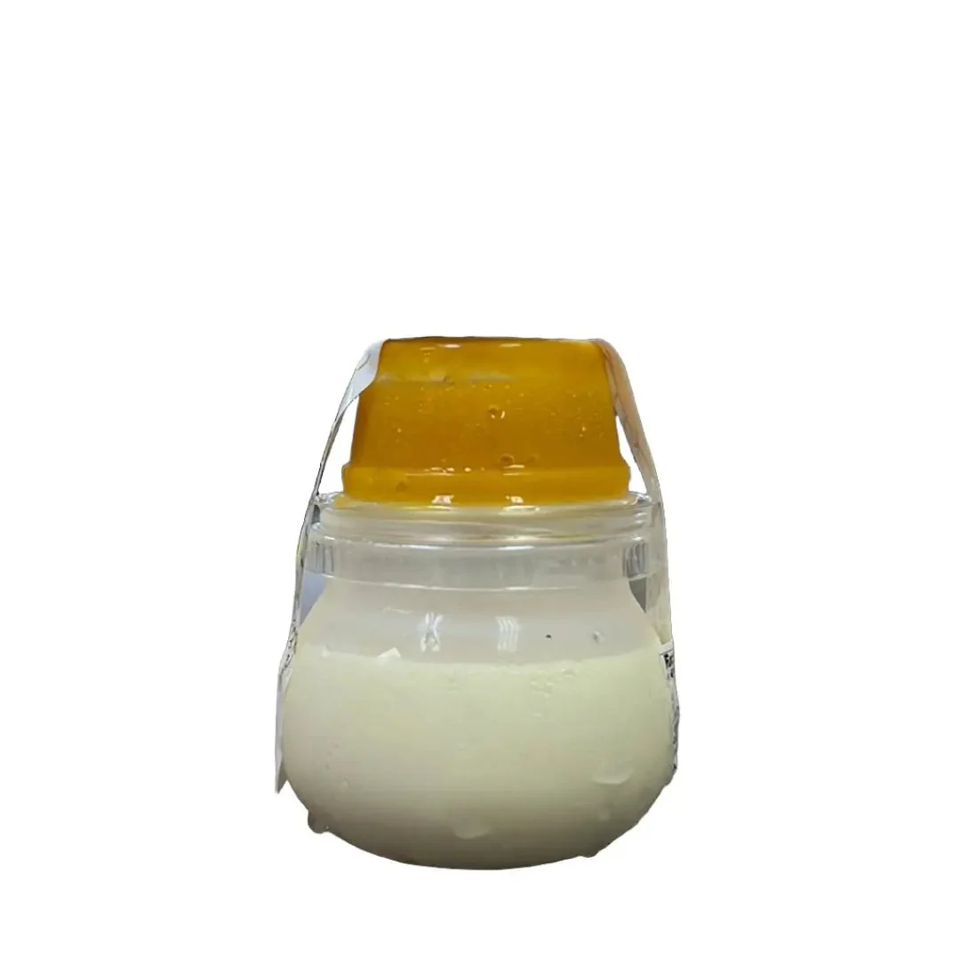 CITYLIGHTS PURIN TORORI MANGO